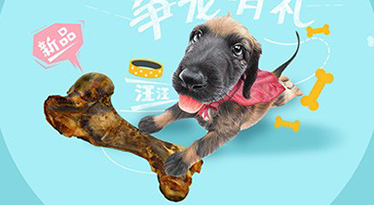 【寵物類目】如何提升淘寶運(yùn)營(yíng)能力